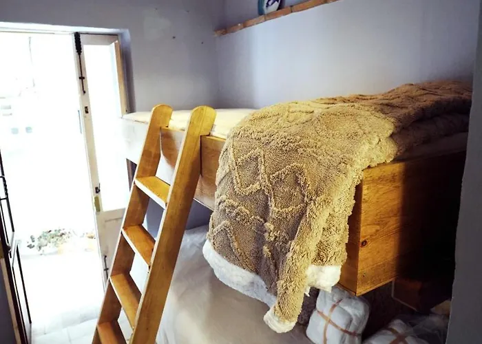 Estudio Del Pintor